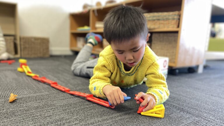 Connecting the parts Botany childcare centre and Pukekohe childcare