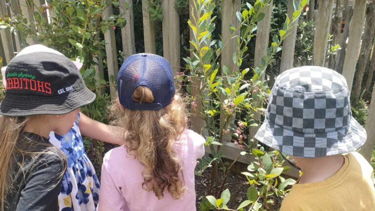 Learning with nature at Treetops Auckland childcare centre