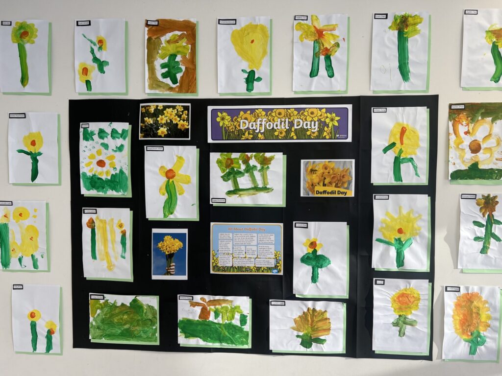 Daffodil Day at Treetops Botany Preschool and Treetops Pukekohe Preschool