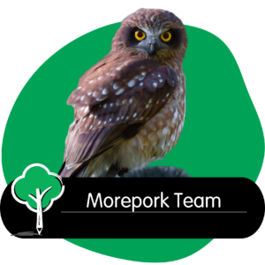 Pukekohe early childhood centre Morepork Team