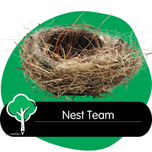 Treetops Botany Junction Early Learning Centre Nest Team